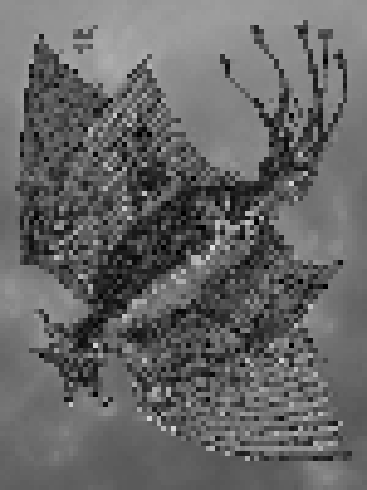 An Old One. Tom Ardans artwork based on H. P. Lovecraft’s short novel At the Mountains of Madness.