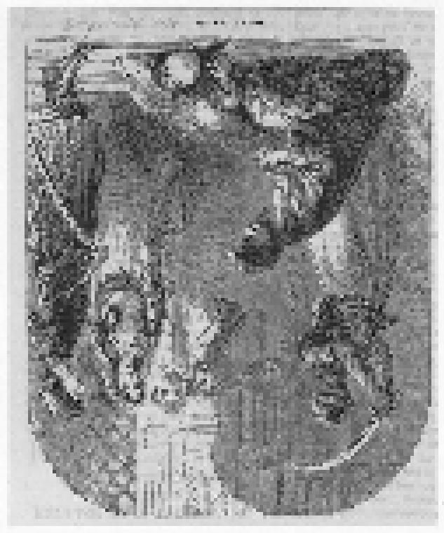 Decapitation - Wallach Division Picture Collection