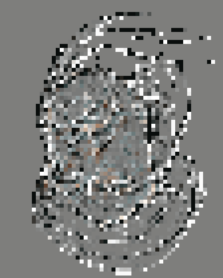 Silueta Retrato de Azarquiel. Fundación Española para la Ciencia y la Tecnología, Eulogia Merle.